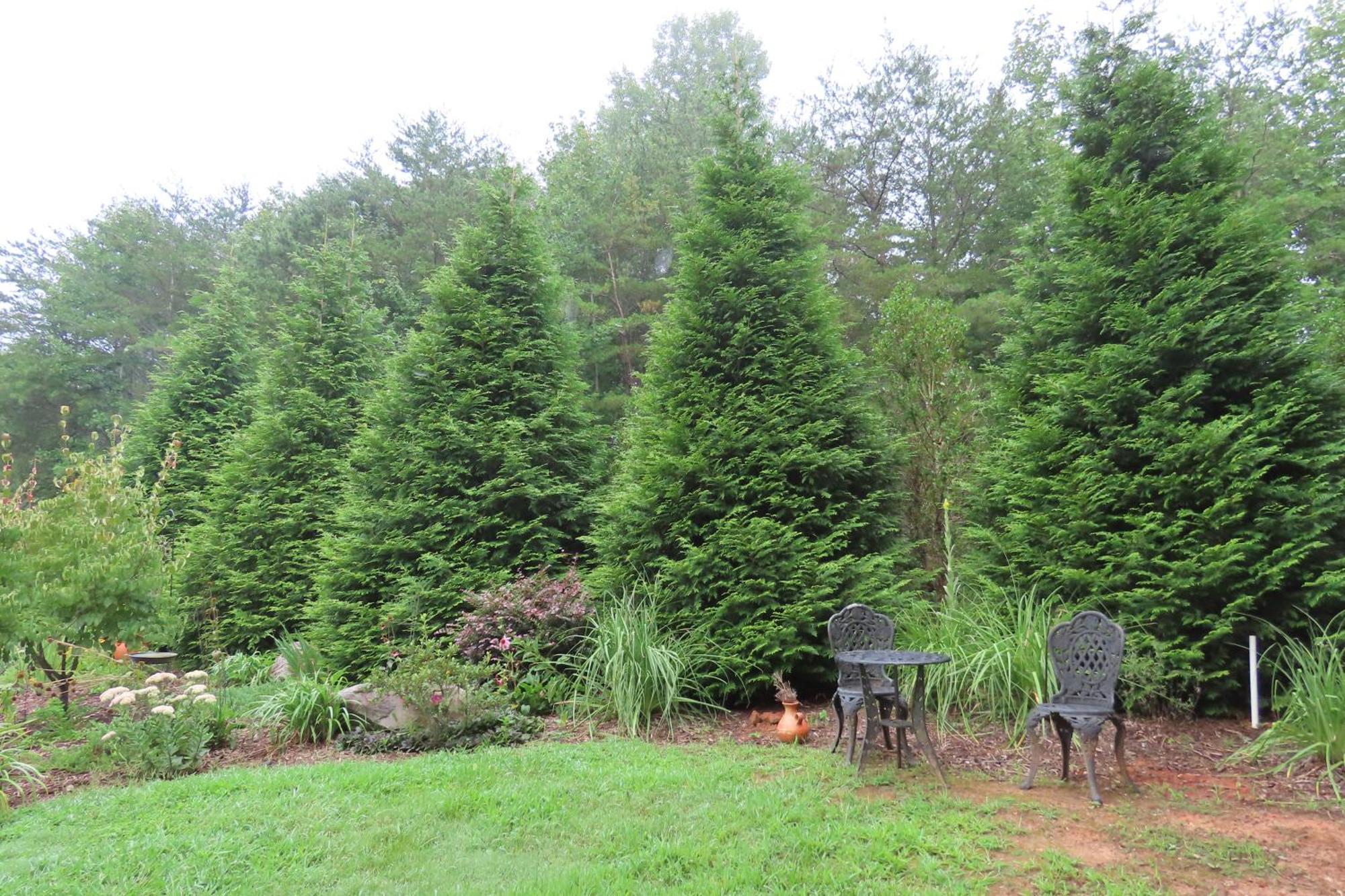 Scenic Fox Ridge Cabin On 4 Acres With Hot Tub! Whittier Exterior photo
