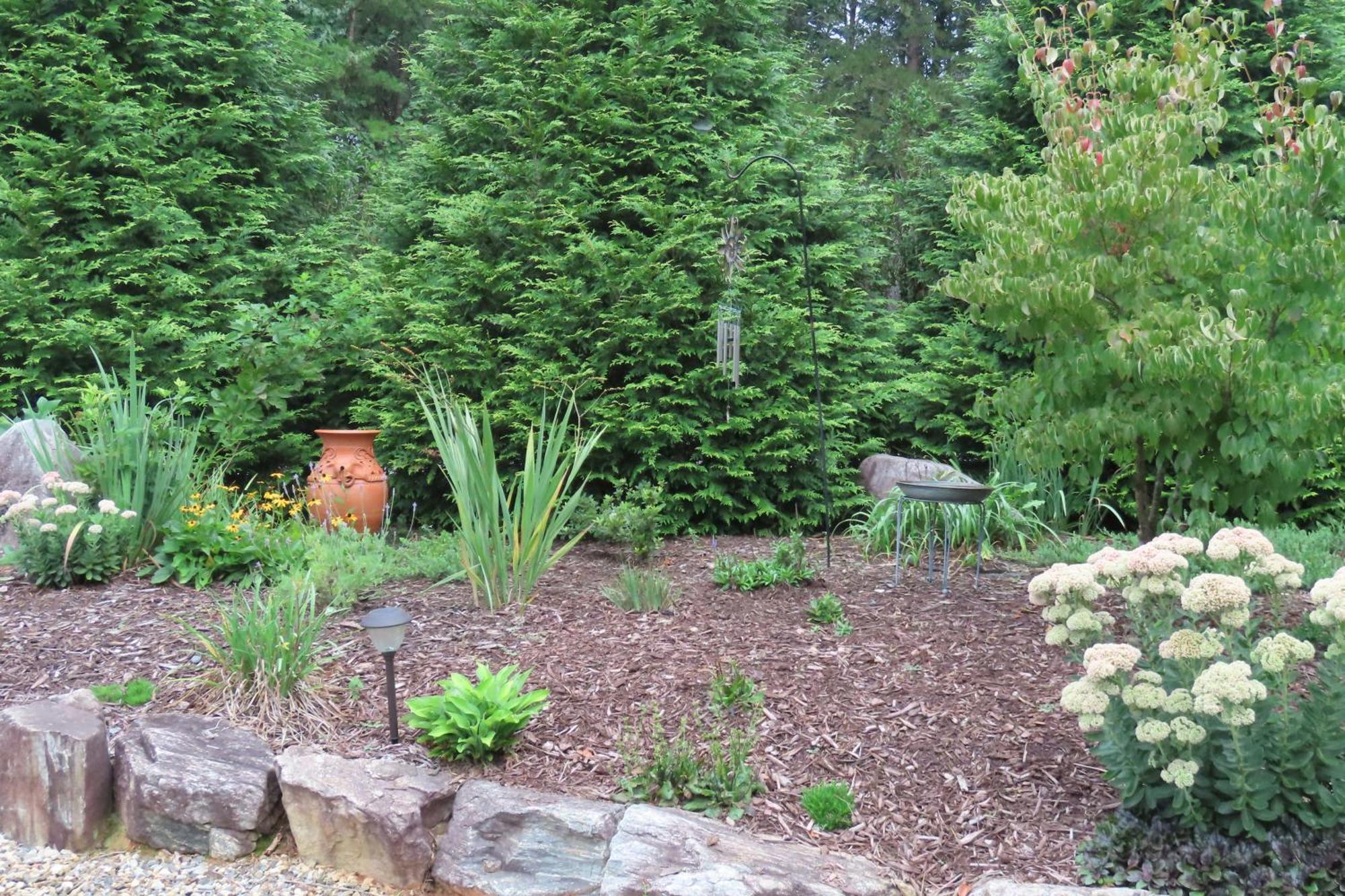 Scenic Fox Ridge Cabin On 4 Acres With Hot Tub! Whittier Exterior photo